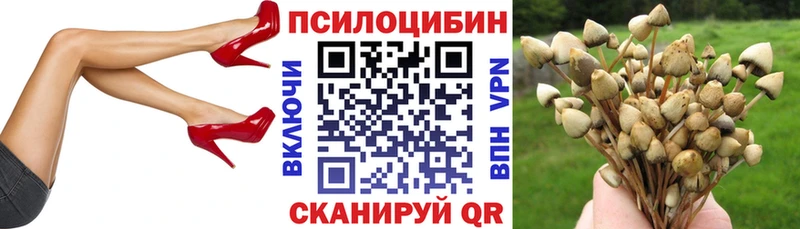 купить   Асбест  Псилоцибиновые грибы MAGIC MUSHROOMS 